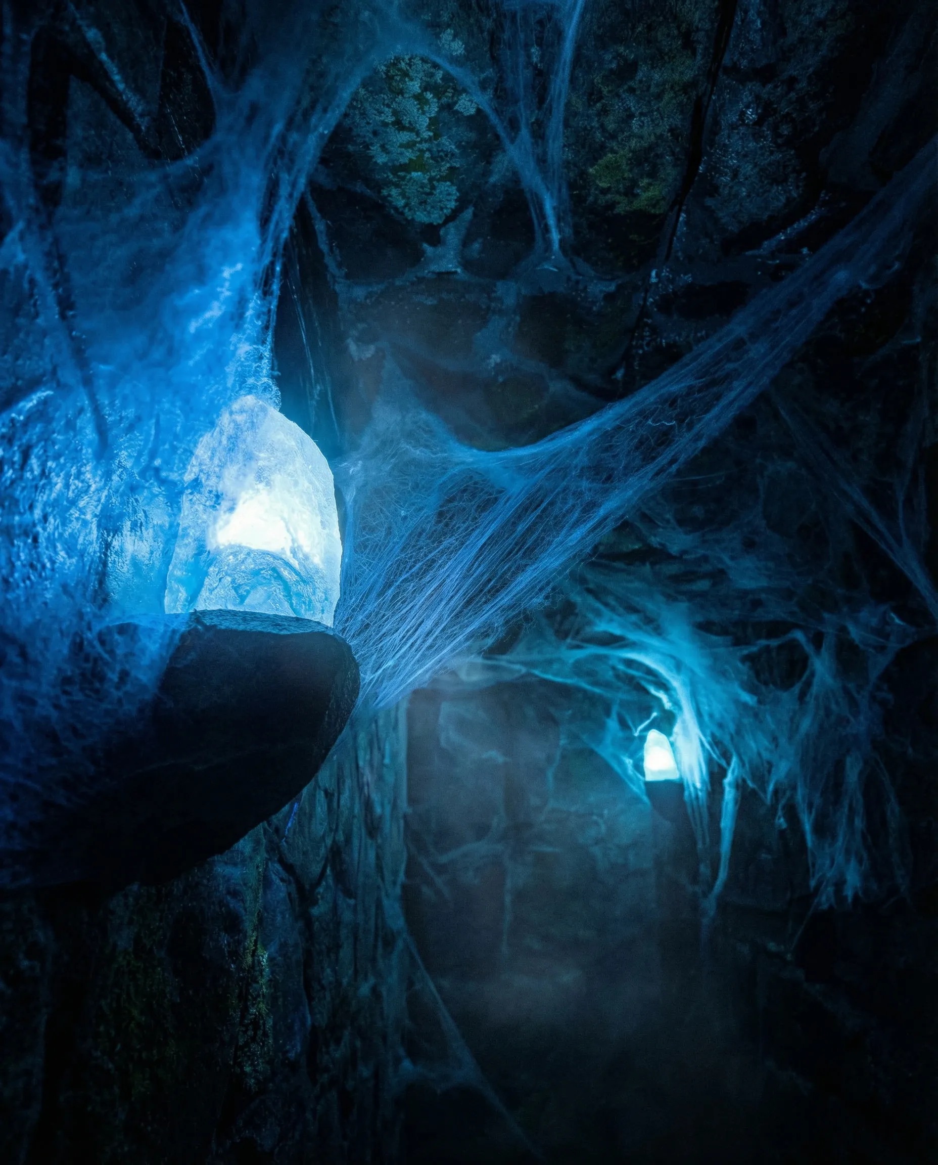 Il Signore Oscuro — fotografia di scena 5